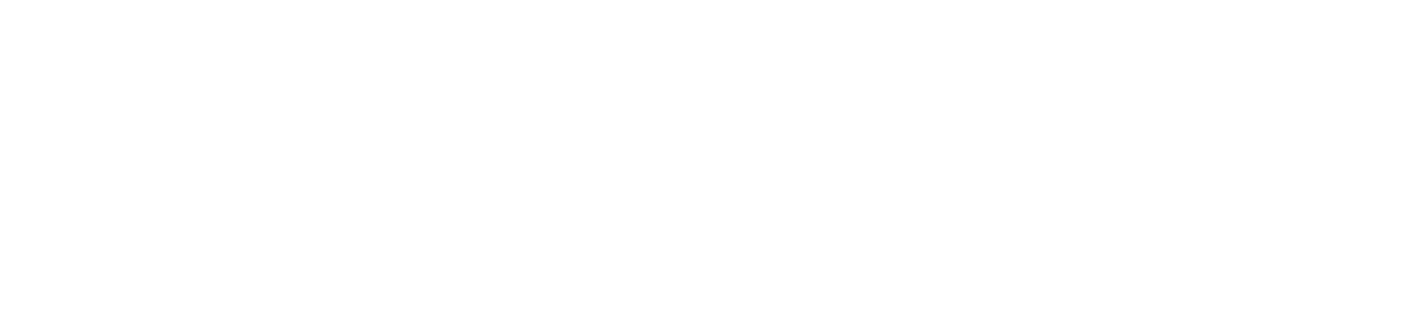 Logo 9